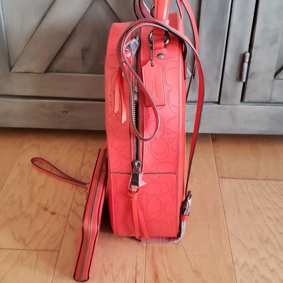 Backpack - Picture 3 of 6